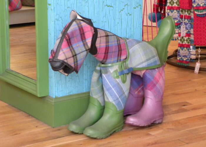 Horse and Boots