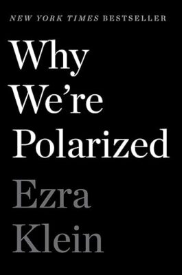 Why We Are Polarized